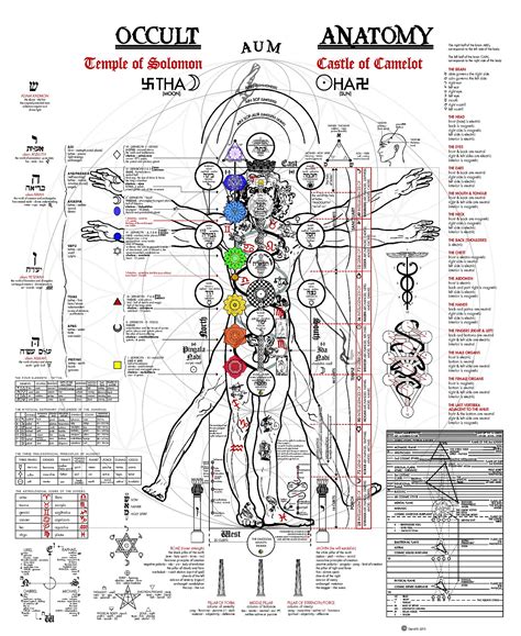 The Sacred Geometry of the Human Form: An Exploration of the Occult Anatomy of Man